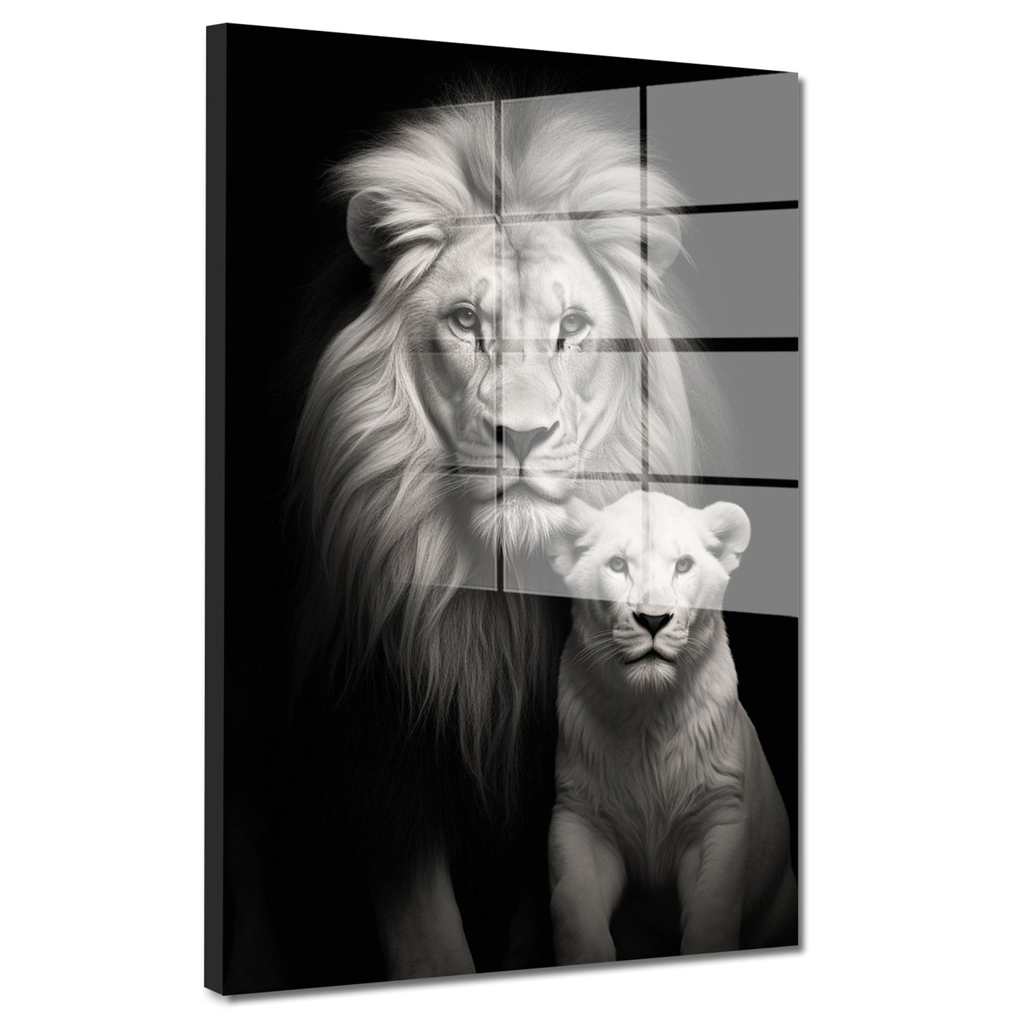 Afrika 2 Löwen frontal Acrylglasbild Wandbild Bild Wanddeko Wohnzimmer XL