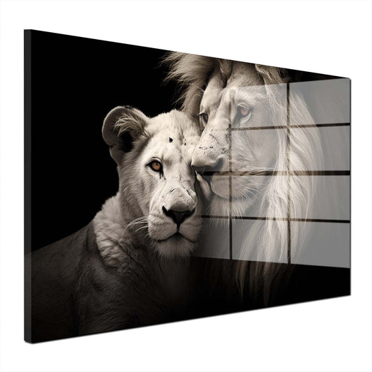 Afrika Löwenpaar Black Acrylglasbild Wandbild Bild Wanddeko Wohnzimmer XL
