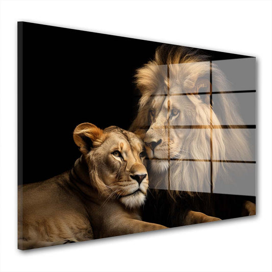 Beautiful Lions Acrylglasbild Wandbild Bild Wanddeko Wohnzimmer XL
