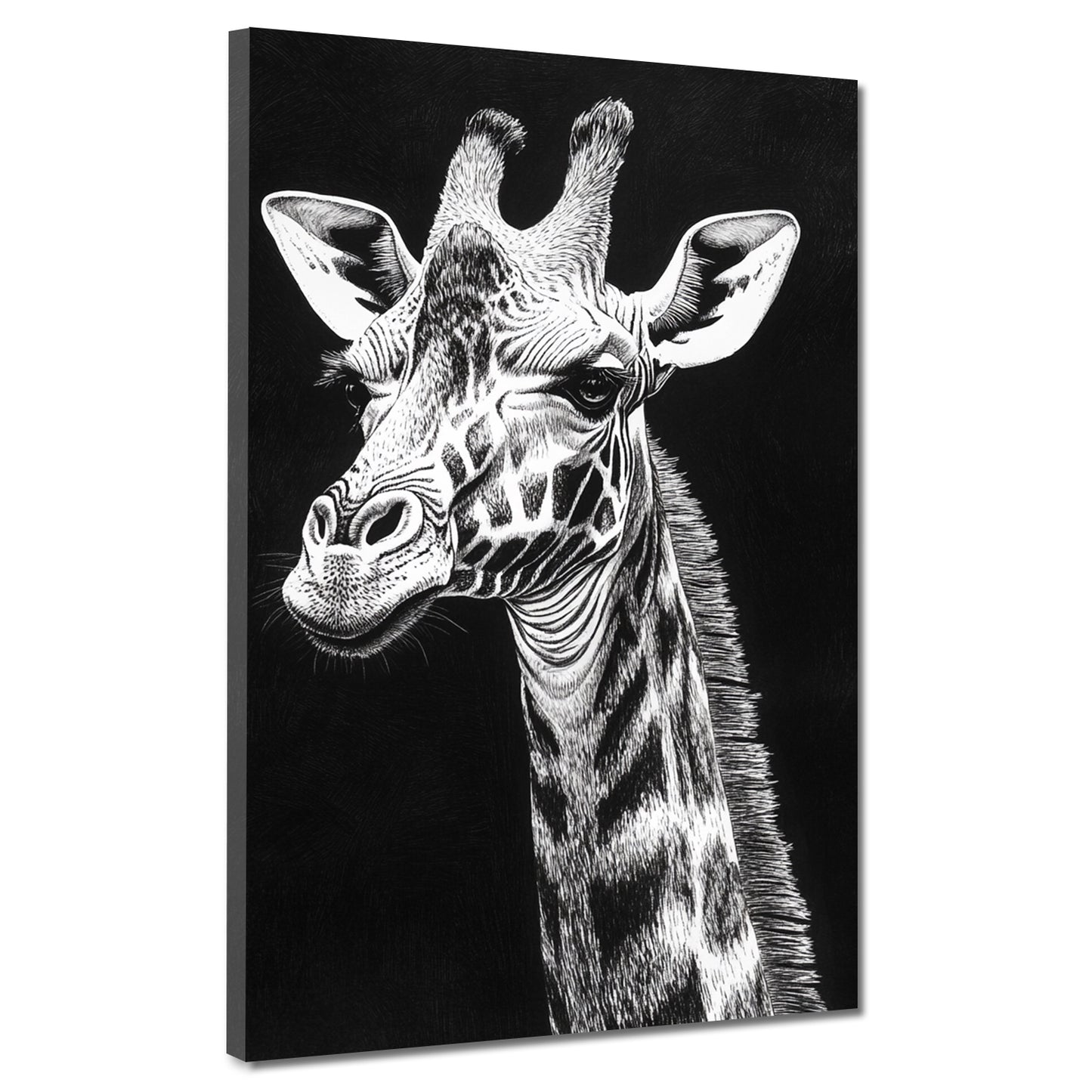 Schwarz Weiß Giraffe Tierporträt Leinwandbild Wandbild Kunstdruck XL Wanddeko