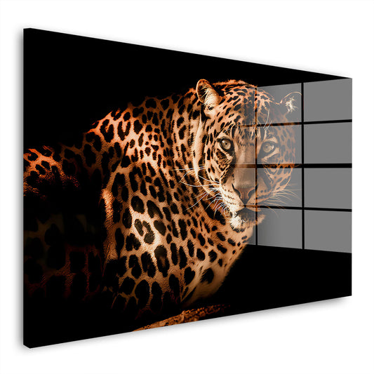 Leopard Black Style Acrylglasbild Wandbild Bild Wanddeko Wohnzimmer XL