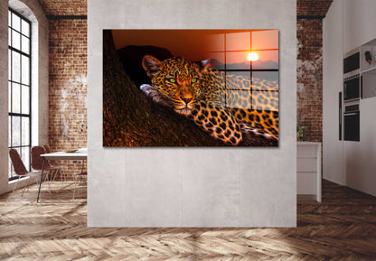 Raubkatze Leopard Sunset Acrylglasbild Wandbild Bild Wanddeko XL
