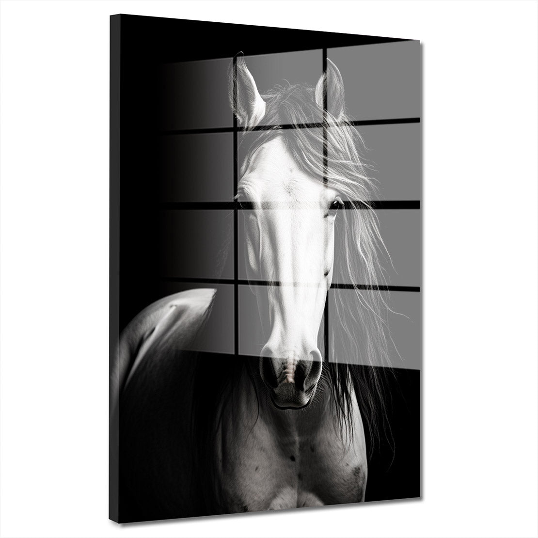 Schönes weißes Pferd Acrylglasbild Wandbild Bild Wanddeko Wohnzimmer XL