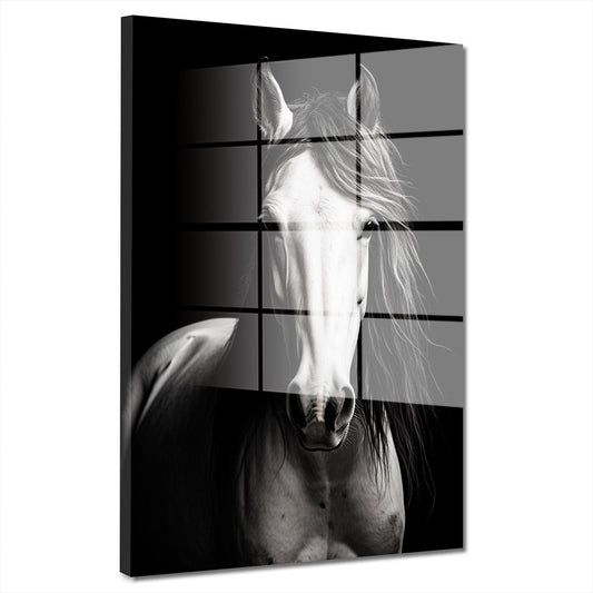 Schönes weißes Pferd Acrylglasbild Wandbild Bild Wanddeko Wohnzimmer XL