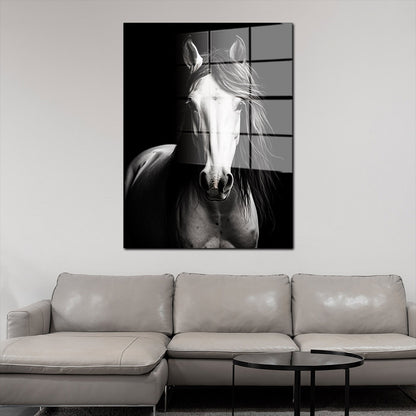 Schönes weißes Pferd Acrylglasbild Wandbild Bild Wanddeko Wohnzimmer XL