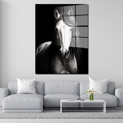 Schönes weißes Pferd Acrylglasbild Wandbild Bild Wanddeko Wohnzimmer XL