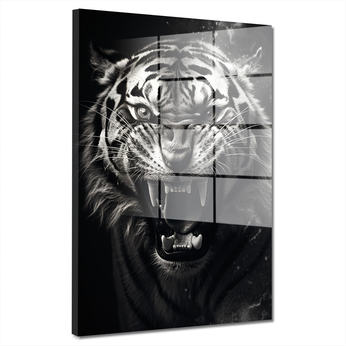 Tiger schwarz weiß Acrylglasbild Wandbild Bild Wanddeko Wohnzimmer XL