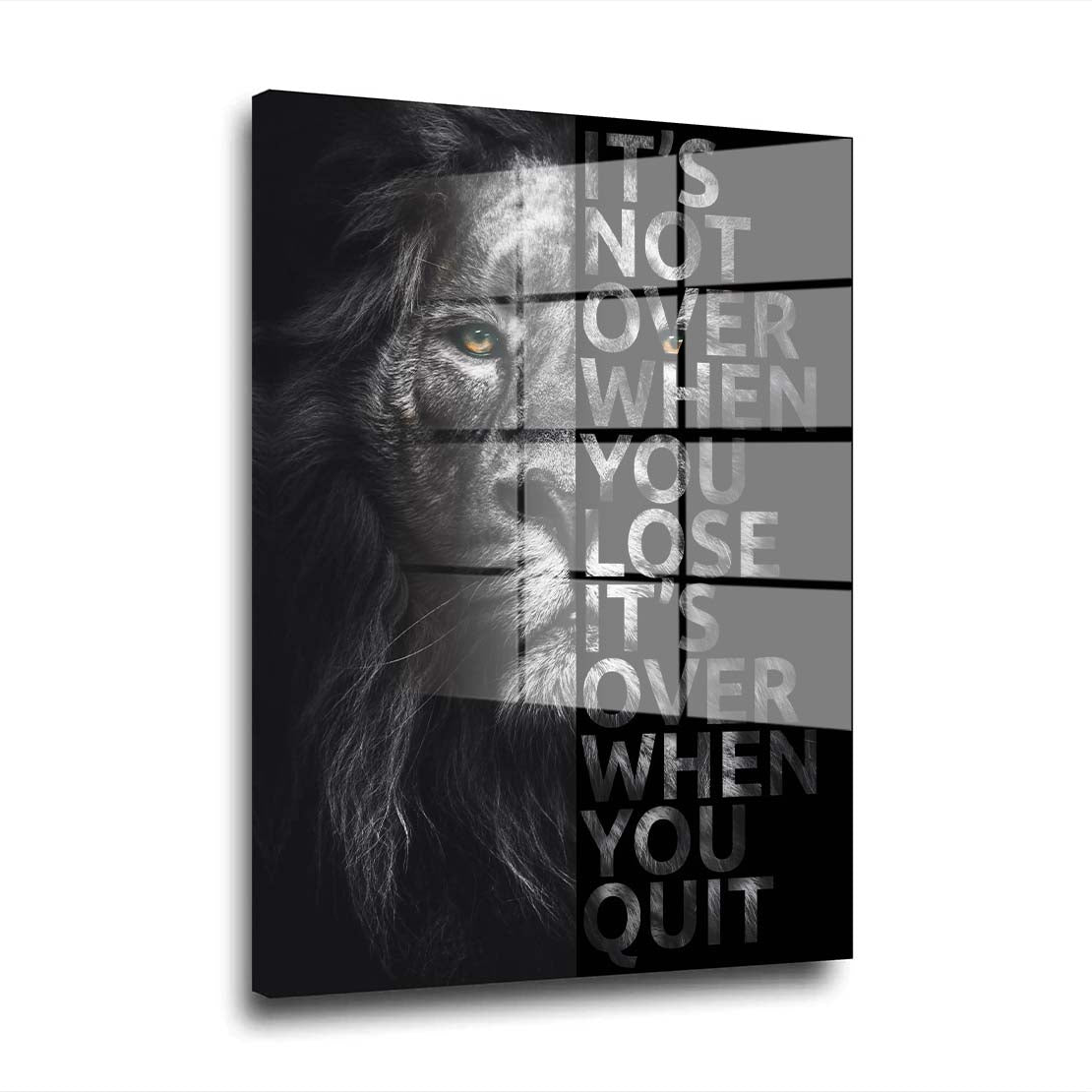 Löwe It Is Not Over When You Lose Motivation Acrylglasbild Wandbild Wanddeko XL