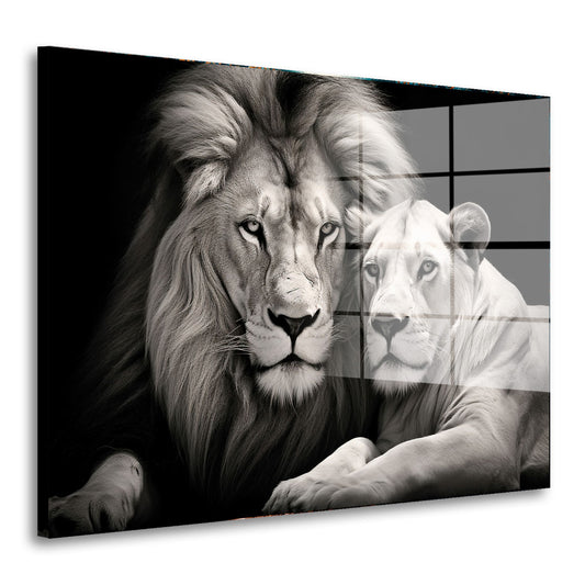 Löwe und Löwin schwarz weis Acrylglasbild Wandbild Bild Wanddeko Wohnzimmer XL