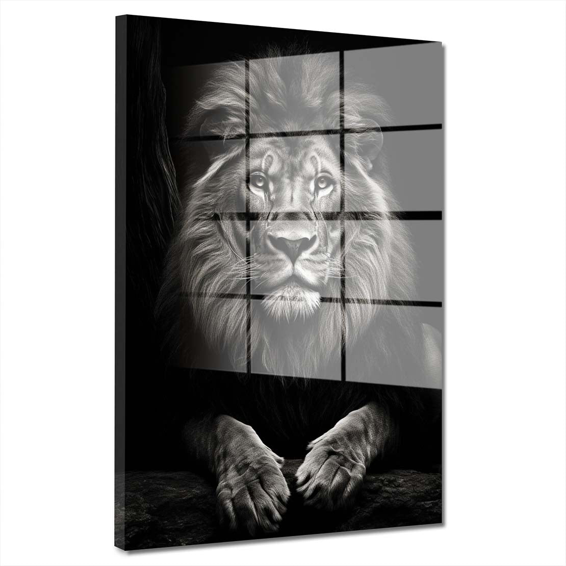 Löwe wunderschön frontal Black Acrylglasbild Wandbild Wanddeko Wohnzimmer XL