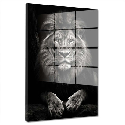 Löwe wunderschön frontal Black Acrylglasbild Wandbild Wanddeko Wohnzimmer XL