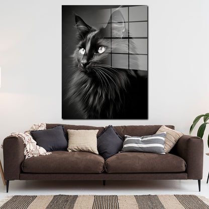 Wunderschöne schwarze Katze Acrylglasbild Wandbild Bild Wanddeko XL