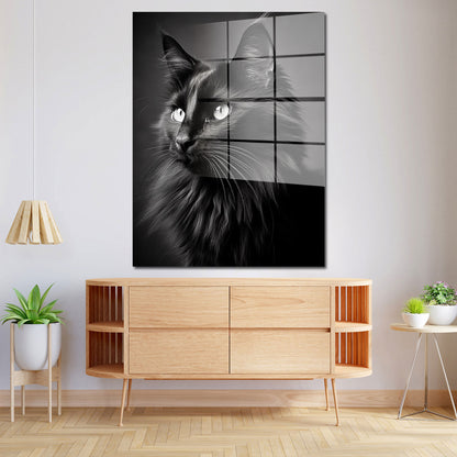 Wunderschöne schwarze Katze Acrylglasbild Wandbild Bild Wanddeko XL