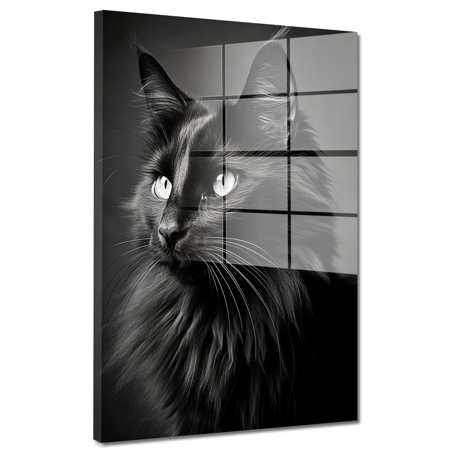 Wunderschöne schwarze Katze Acrylglasbild Wandbild Bild Wanddeko XL