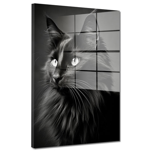 Wunderschöne schwarze Katze Acrylglasbild Wandbild Bild Wanddeko XL