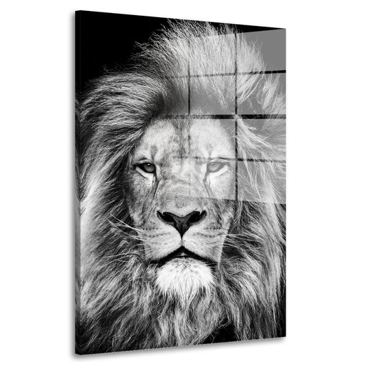 Löwe in schwarz weiß Acrylglasbild Wandbild Bild Wanddeko Wohnzimmer XL