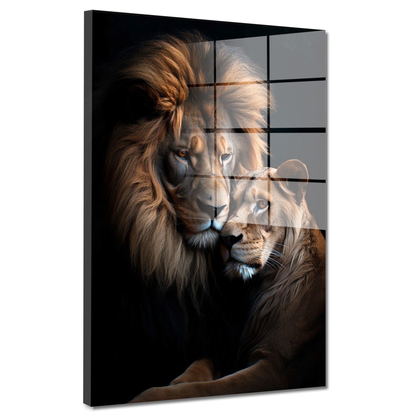 Löwenpaar Black Acrylglasbild Wandbild Bild Wanddeko Wohnzimmer XL