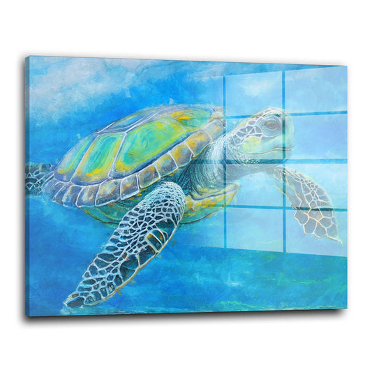 Meeresschildkröte Acrylglasbild Wandbild Bild Wanddeko Wohnzimmer XL